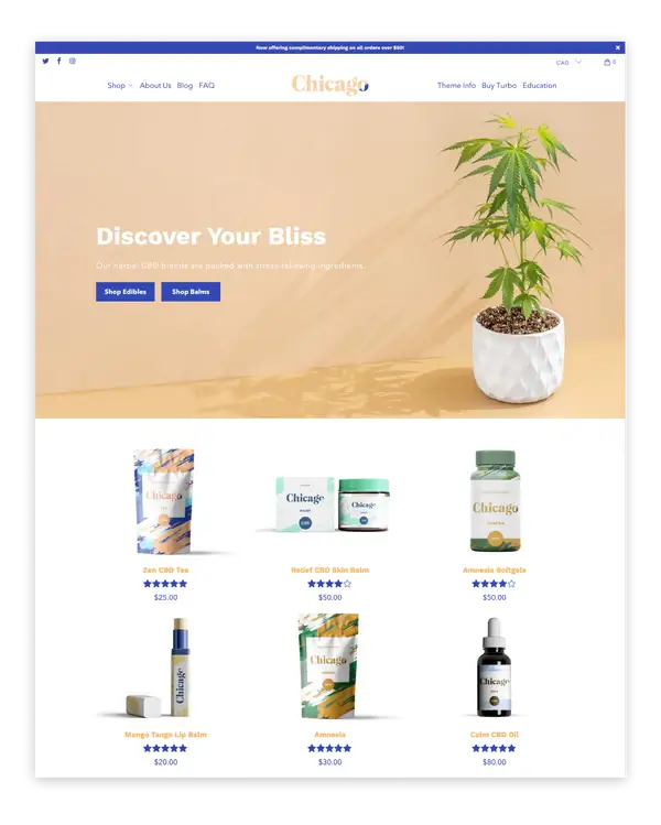 turbo shopify theme  Chicago